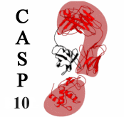 CASP10 Home