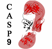 CASP9 Home