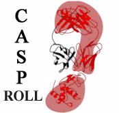 CASP ROLL Home